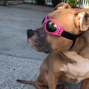 Meet your Posher, Markus